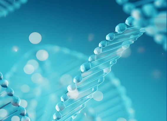 开炼机 & 密炼机双雄齐发，玮祥机械赋能橡塑智造新引擎！